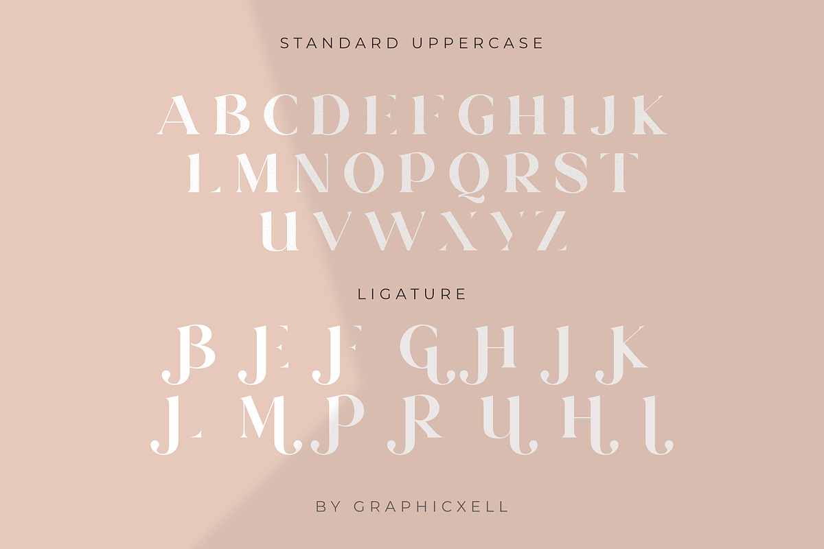 Yolinda Serif Font, a Serif Font by Graphicxell (Photo 13 of 15)