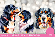 watercolor bernese mountain clipart, an Animal Illustration by TanuschArts (Thumbnail 2 of 4)