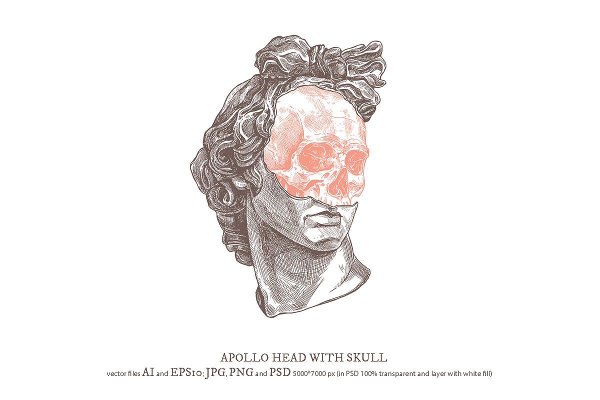 Apollo Belvedere Illustrations, an Illustration by alexrockheart (Photo 6 of 13)