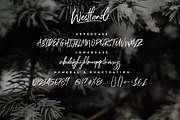 Westland Handstylish Font, a Script Font by Alif Devan R. (Thumbnail 6 of 7)