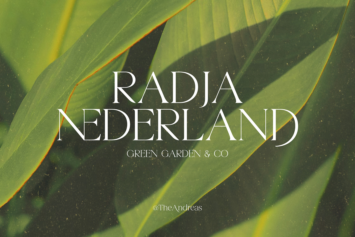 Andreas, a Serif Font by Gatype (Photo 7 of 10)