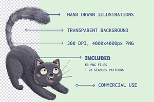 Cute Black Cat PNG Illustrations