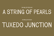 DW Miller Vintage Font Family, a Sans Serif Font by Walker Design Co. (Thumbnail 7 of 10)