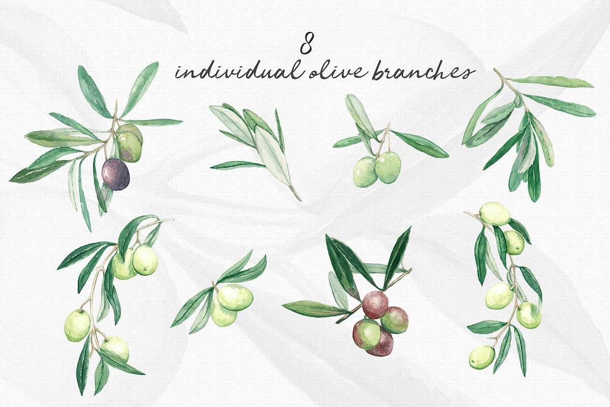 Watercolor Olive Branch Graphic Set, a Food Illustration by In the clouds (Photo 7 of 7)
