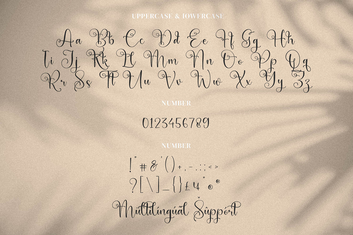 Adriana Juliewis, a Script Font by Integritype Studio (Photo 11 of 14)