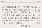 CS Akagi – Elegant Sans Serif, a Sans Serif Font by Craft Supply Co. (Thumbnail 8 of 8)