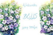 SALE! Watercolor bells flowers, a Decorative Illustration by MaryAmi (Thumbnail 1 of 3)