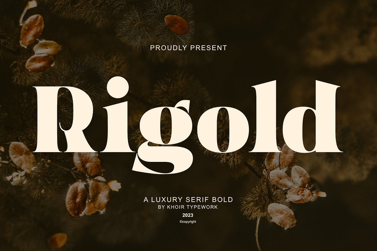 Rigold - Font, a Serif Font by Khoir (Photo 1 of 15)
