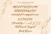Shall Blossom-Lovely Brush Font, a Script Font by din-studio.com (Thumbnail 9 of 10)