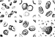 Hard nut graphic design set, a Food Illustration by handsketched (Thumbnail 18 of 18)