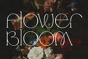 Mokue | Elegant Serif, a Serif Font by Ivan Rosenberg (Thumbnail 11 of 12)