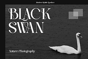 Balenia - Modern Elegant Serif Font, a Serif Font by Say Studio (Thumbnail 5 of 11)