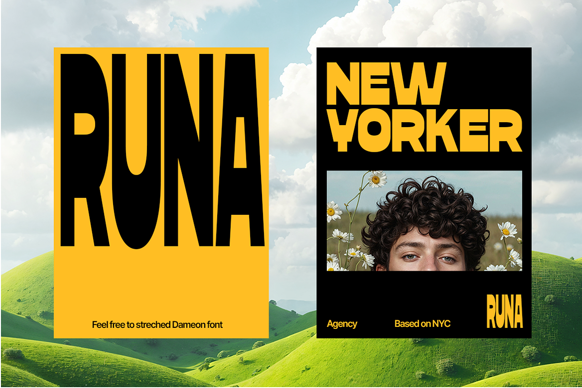 Dameon - Bold Reverse Contrast Font, a Sans Serif Font by Pekotype (Photo 9 of 16)