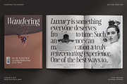 The Silver Editorial Serif Font, a Serif Font by SilverStag Type Foundry (Thumbnail 5 of 25)