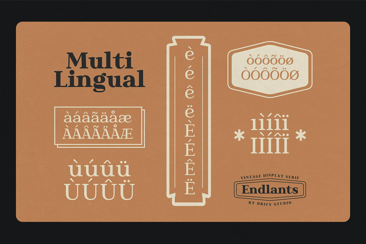 Endlants, a Serif Font by Drizy (Photo 7 of 9)