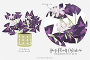 House Plants Collection Set II, a Graphic by SmallHouseBigPony (Thumbnail 7 of 21)
