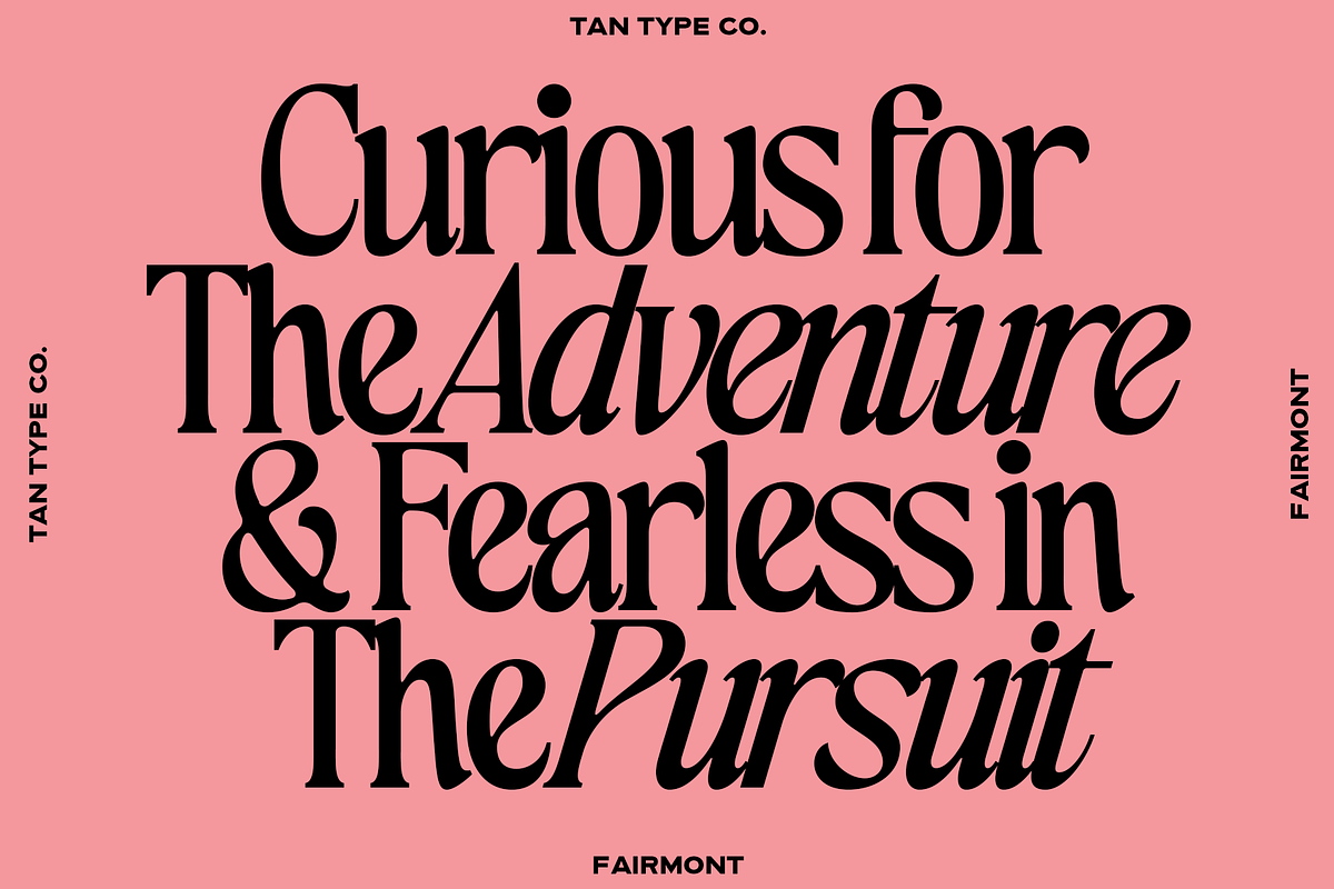 TAN-FAIRMONT DUO FONT, a Serif Font by TanType (Photo 3 of 10)