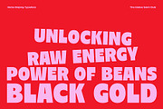 Nicka - Bold Display Sans, a Sans Serif Font by The Native Saint Club (Thumbnail 3 of 16)