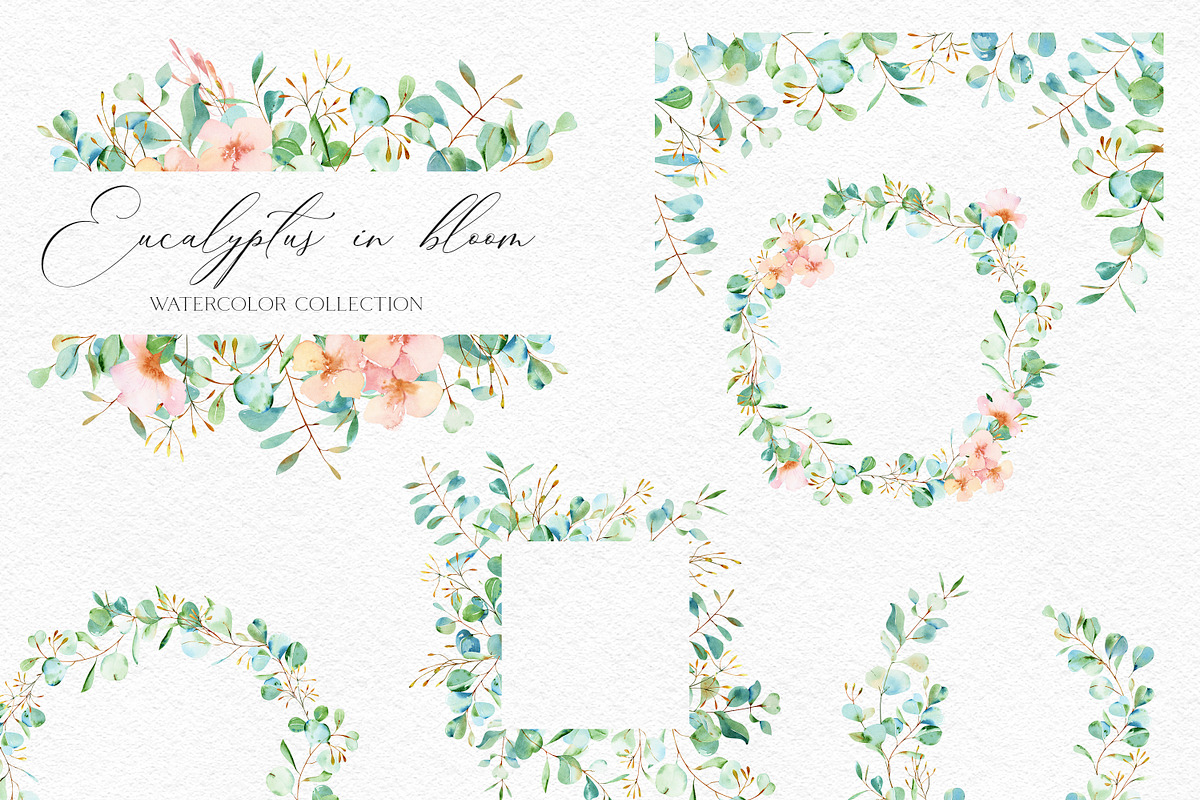 Eucalyptus Bloom Watercolor, a Texture Illustration by Olga Koelsch (Photo 4 of 11)
