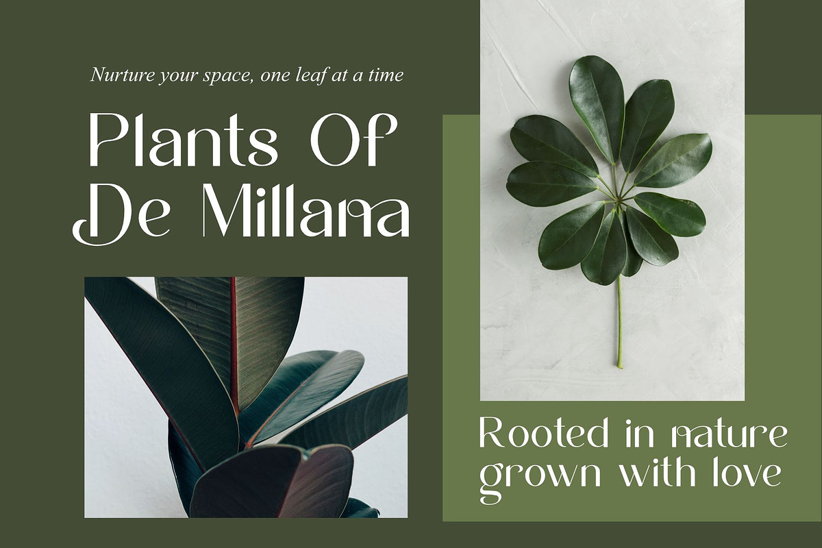 Blinery || Modern Sans Serif Font, a Sans Serif Font by Ermedia Studio (Photo 3 of 10)
