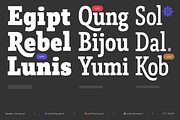 Faraon, a Slab Serif Font by Latinotype (Thumbnail 8 of 15)