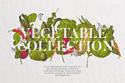 Vegetable collection 1, an Object Graphic by Siosay (Thumbnail 4 of 11)