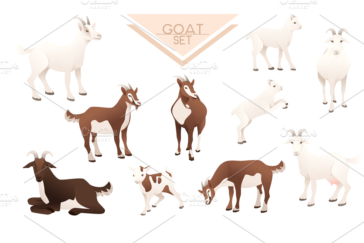 Set of cute goatling white goat farm, an Animal Illustration by Alfmaler