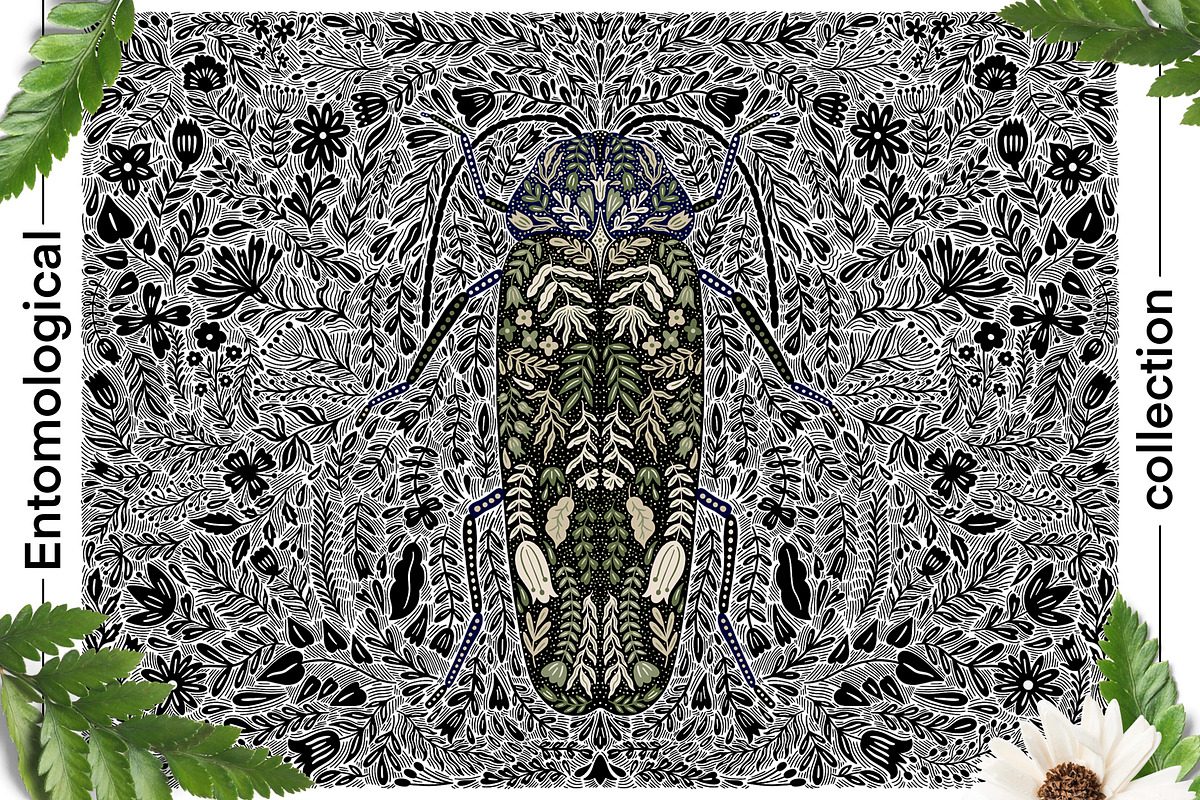 Entomological collection insect, a Decorative Illustration by Moonflora (Photo 12 of 13)