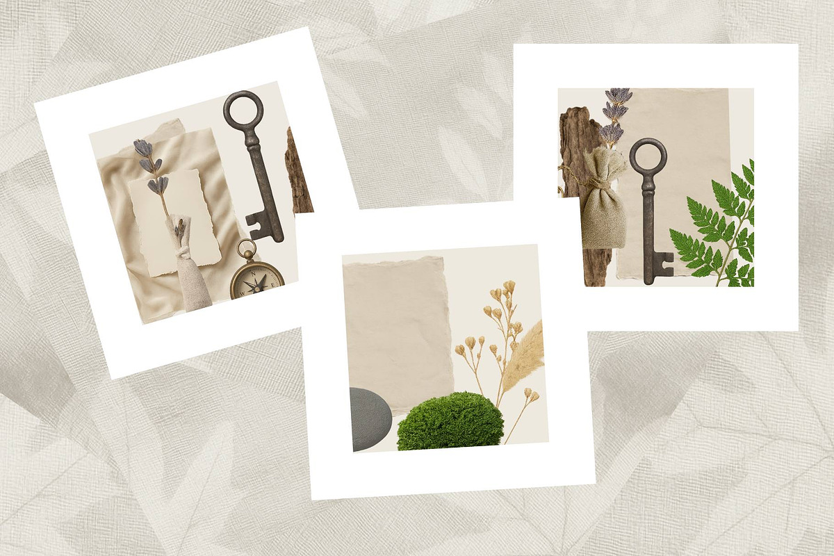 Forest Calm  Flatlays, Botanical PNG, an Object Graphic by Pachel (Photo 6 of 6)