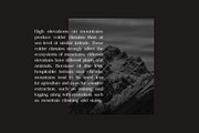 Breakwater Modern Classy Font, a Serif Font by UICreative (Thumbnail 12 of 13)