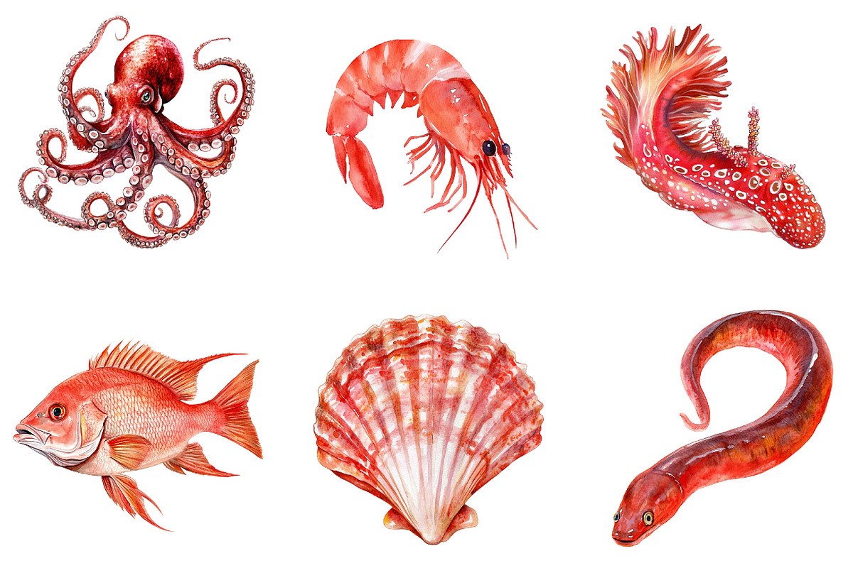 Red Ocean Animals Sublimation PNG Bu, an Illustration by DreamArtGraphic (Photo 4 of 4)