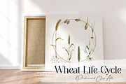 Wheat Life Cycle Clip Arts & Posters, an Education Illustration by Tati Bordiu (Thumbnail 2 of 4)