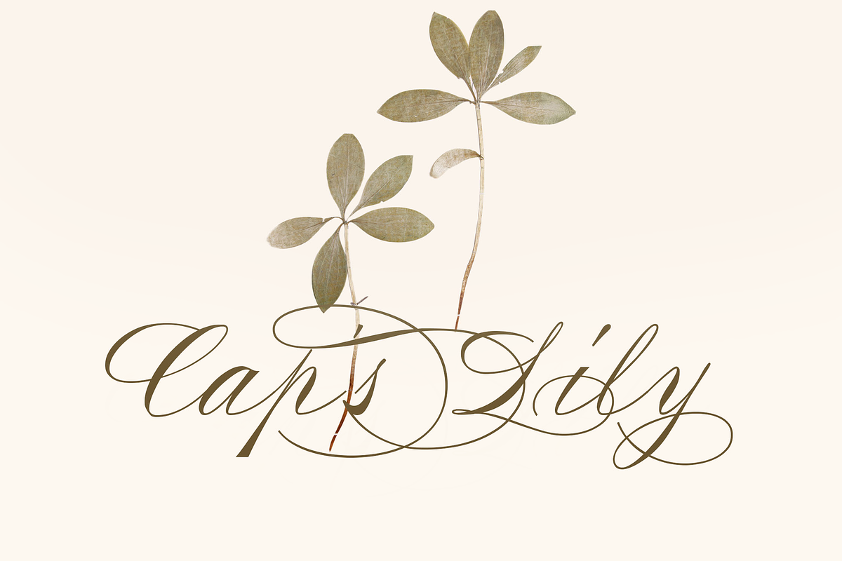 Alysond - Spencerian Script, a Script Font by Typia Nesia (Photo 2 of 14)