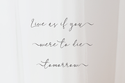 Longtail Script Font, a Script Font by Rasgood (Thumbnail 5 of 5)