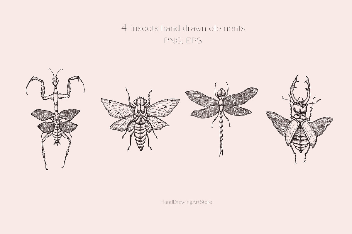 Wildflower and Insect collection, an Illustration by Hand drawn Boutique (Photo 4 of 7)