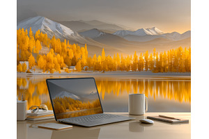 A cozy workspace with a laptop, a Nature Photo by ZinetroN