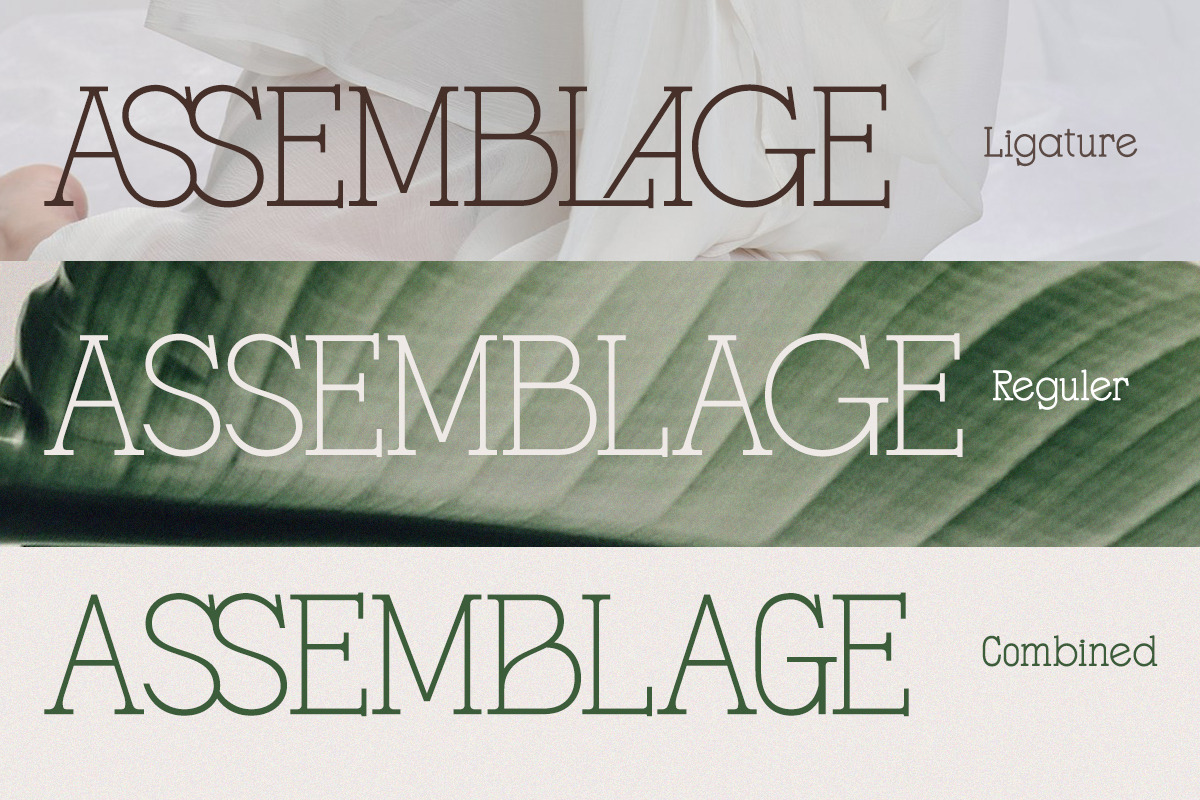 Gracessencia - Modern Elegant Luxury, a Serif Font by Qweera Studio (Photo 2 of 13)