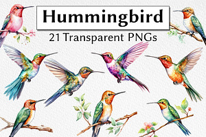 Hummingbird Watercolor Clipart, an Animal Illustration by milkghost