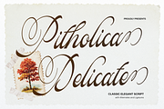 Pitholica Delicate Classic Script, a Script Font by gracetype_studio (Thumbnail 1 of 11)