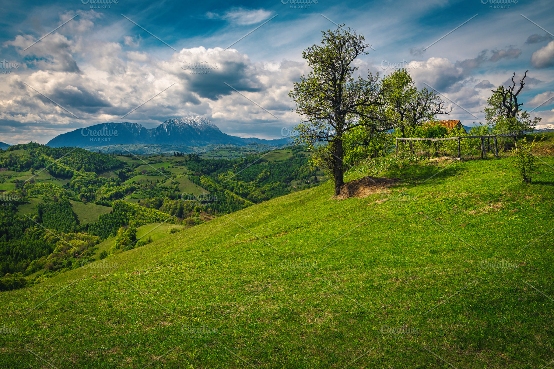 Old ranch on the slope, a Nature Photo by Alpine Dreams