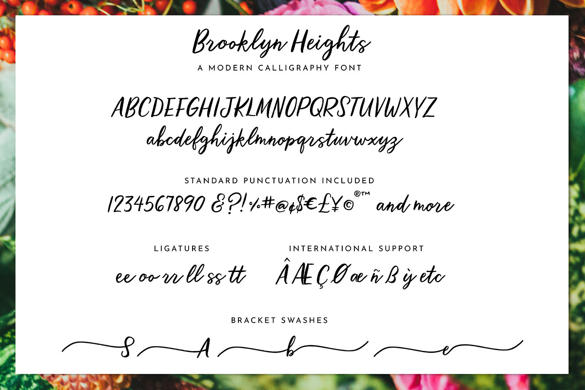 Calligraphy Script Brooklyn Heights preview 7