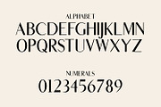 Traditional Mini Font Bundle, a Sans Serif Font by Kristy Hatswell (Thumbnail 14 of 23)