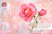 Essential Vintage French Graphics, a Graphic by French Kiss Collections (Thumbnail 17 of 30)