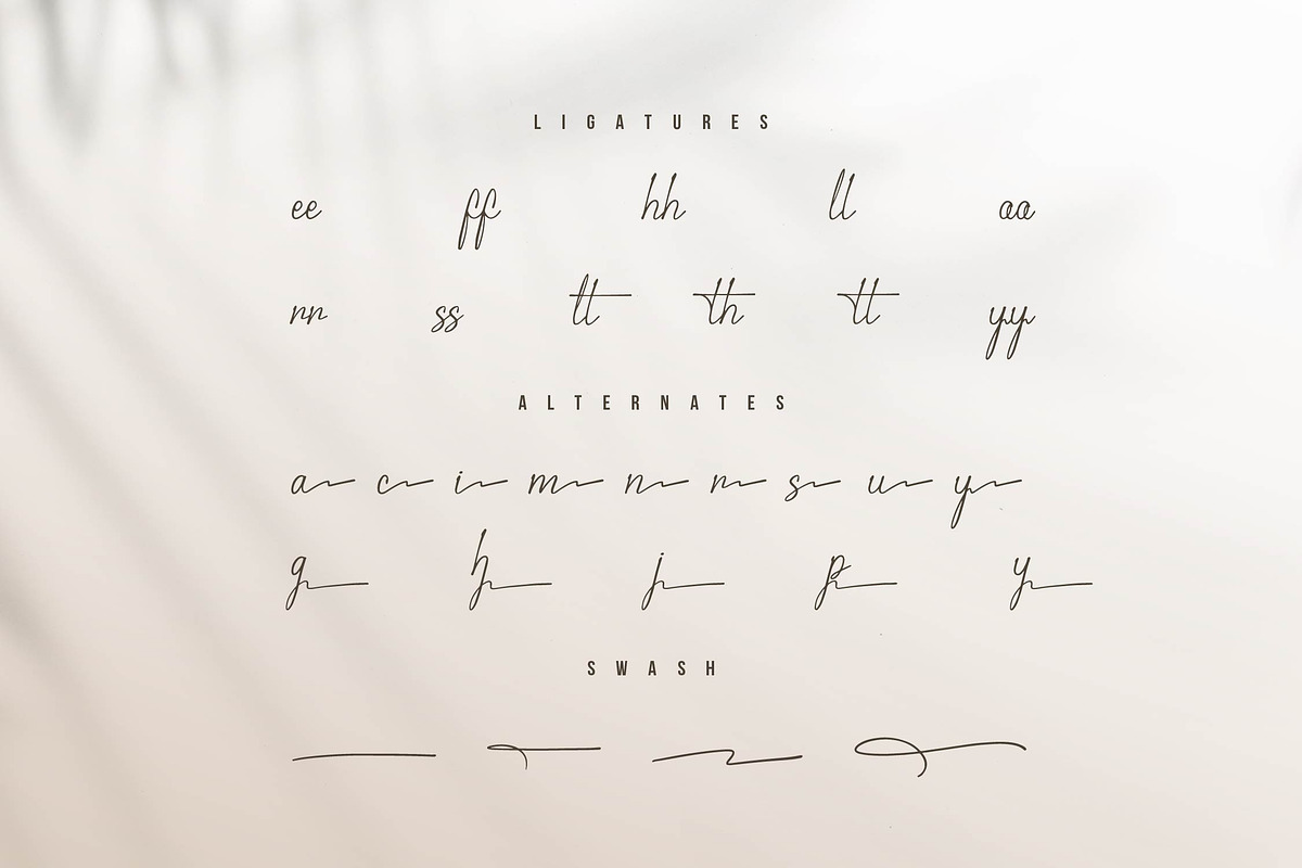 Gramy Pellicent | Handwritten Font, a Script Font by gracetype_studio (Photo 13 of 15)