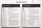 Business Modern Resume / CV Template, a Resume Template by BestResumes.Co (Thumbnail 2 of 9)