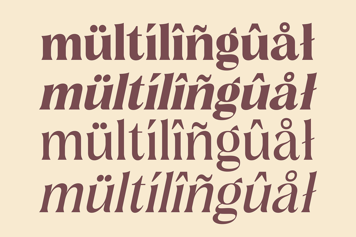 Delarosa - A Decorative Serif, a Serif Font by agnyhasyastudio (Photo 10 of 17)