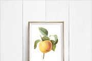 55 non-Photoshop Frame Mockups, a Print Template by Frisk Shop (Thumbnail 6 of 9)