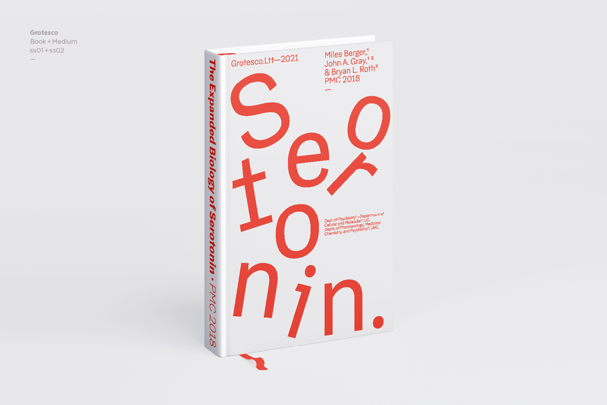 Grotesco, a Sans Serif Font by Latinotype (Photo 12 of 15)