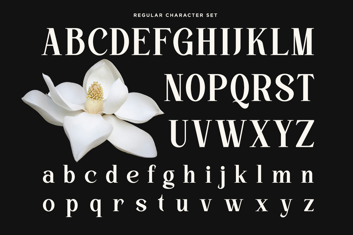 Kinder Land - Elegant Serif Font, a Serif Font by Say Studio (Photo 7 of 9)
