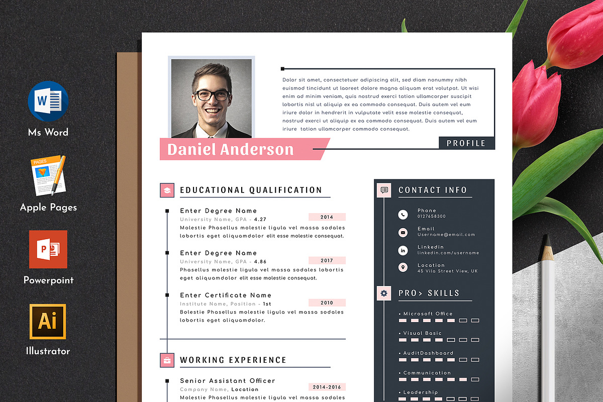 Resume Cv Template Word Apple Pages, a Resume Template by Tbunny (Photo 1 of 4)